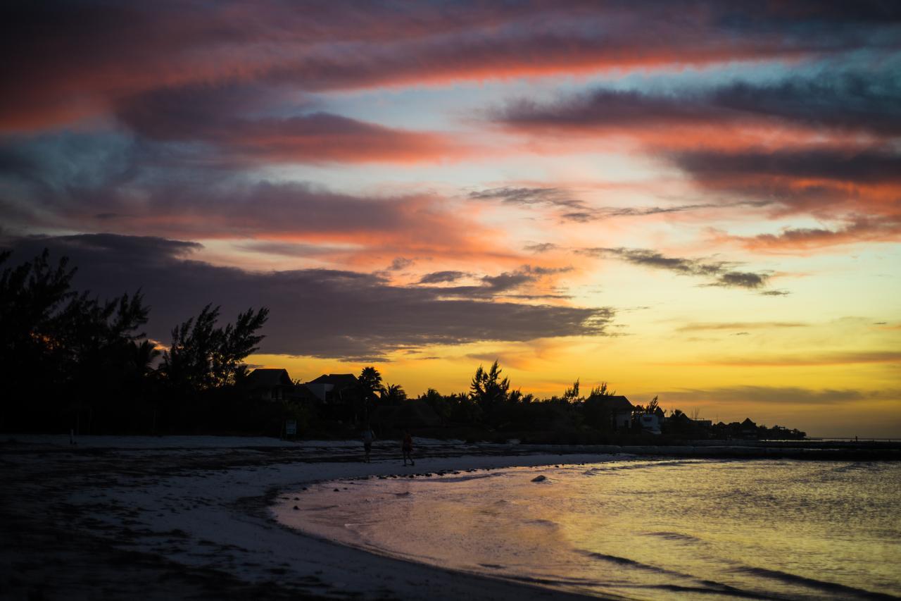 La Chaya Holbox Hotel Bagian luar foto